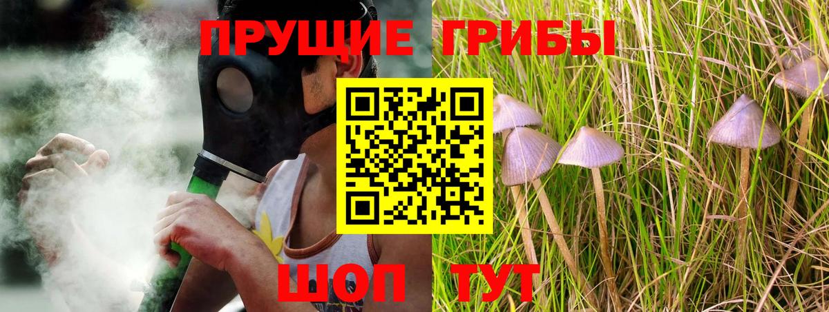 Галлюциногенные грибы Magic Shrooms  Галлюциногенные грибы мухоморы  Вход с VPN  Дивногорск 